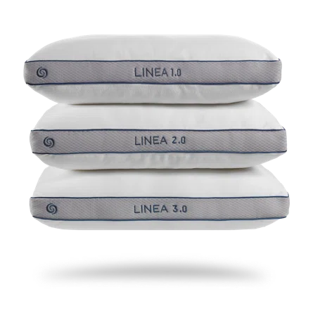 Bedgear 1.0 pillow shop